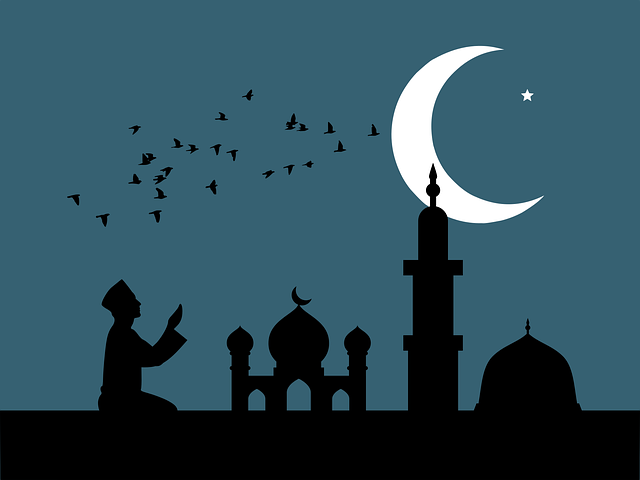 What is a fatwa?